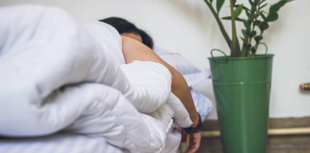 woman sleeping in bed in the morning