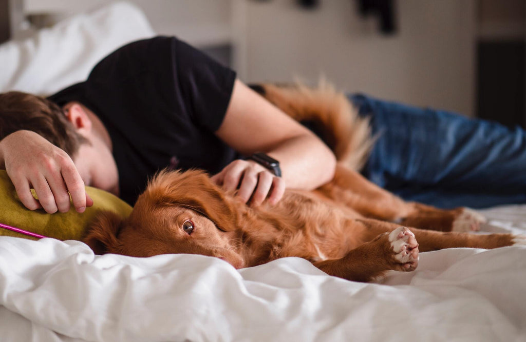  a man is sleeping with a dog on the bed