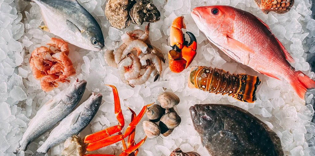 seafood on ice