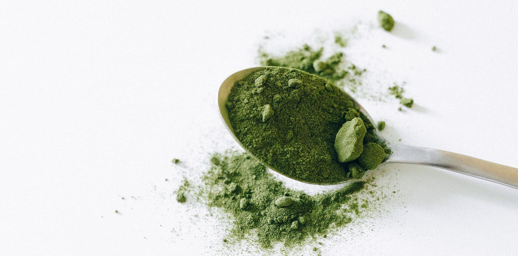 Matcha powder in a spoon