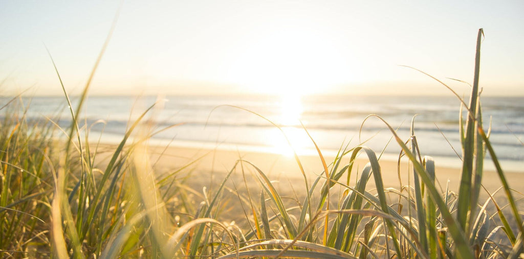 sunrise on the beach