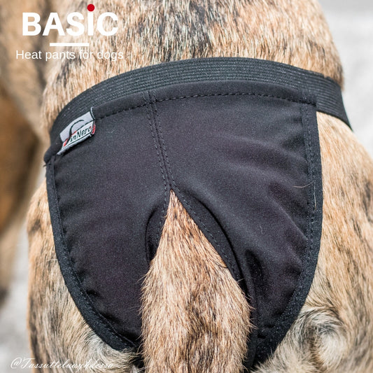 Ballerina Heat Pants for dogs violet