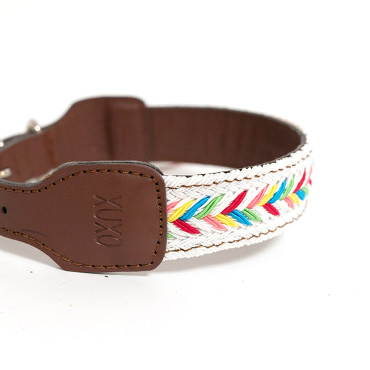 Dog Collar XUXO Hand Made in Mexico M