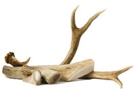 Reindeer Antler bundle 145-155g