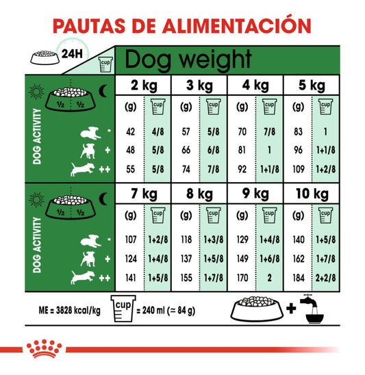 Royal Canin Mini Ageing 12+ Dry Food