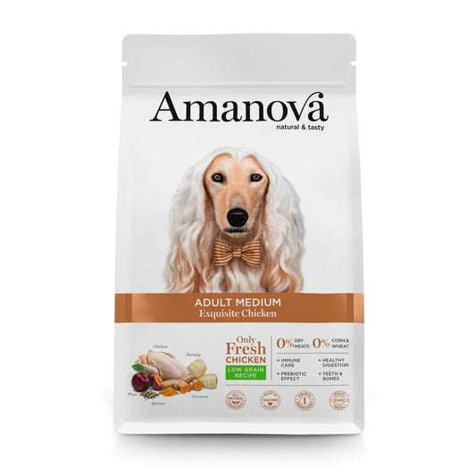 Amanova Adult Medium Exquisite Chicken - Okidogi.store