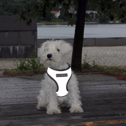 PAIKKA Visibility Harness -50% - Okidogi.store