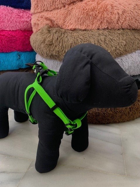 Poco Pano Harness Americano - Okidogi.store