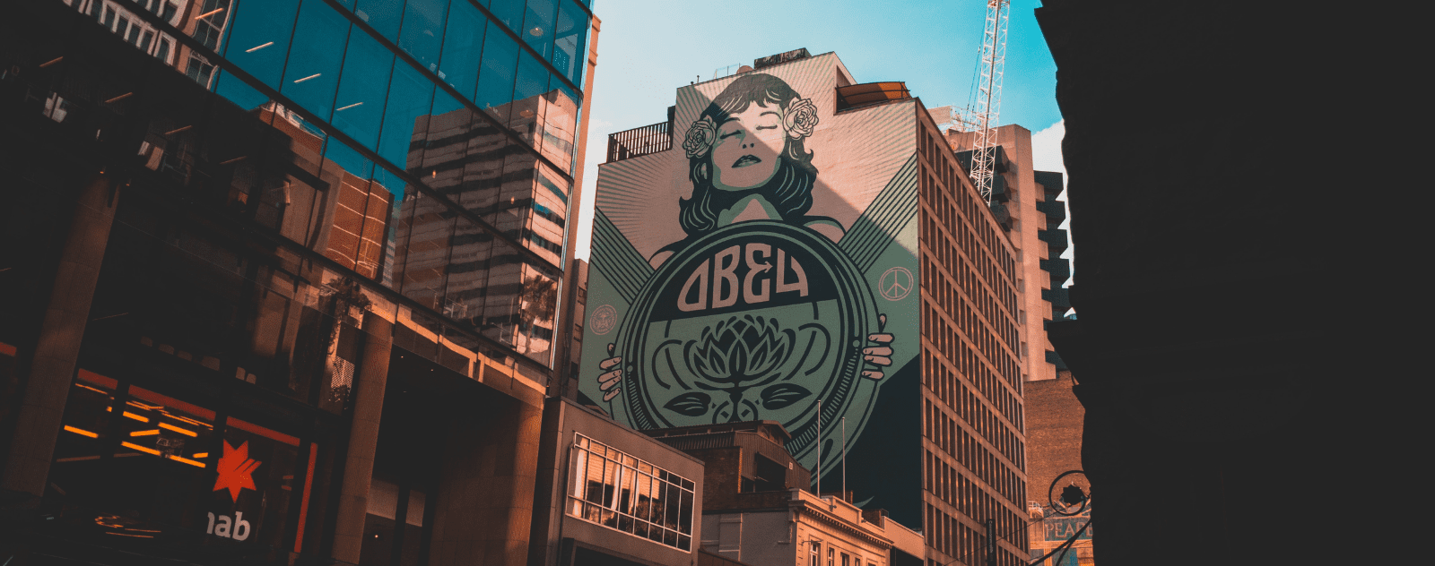 Shepard Fairey