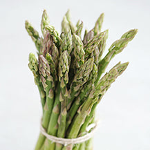 Achyranthus asparagus
