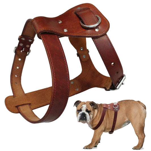 Collar Cuero Airtag: Rastreo Elegante para Tu Compañero Canino – Mascotalux