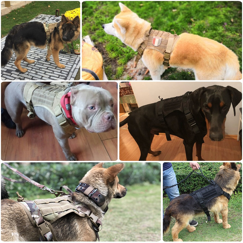 Arnés perros militar Clip frontal K9 Chaleco duradero para perros. |