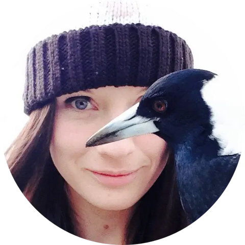 the magpie whisperer