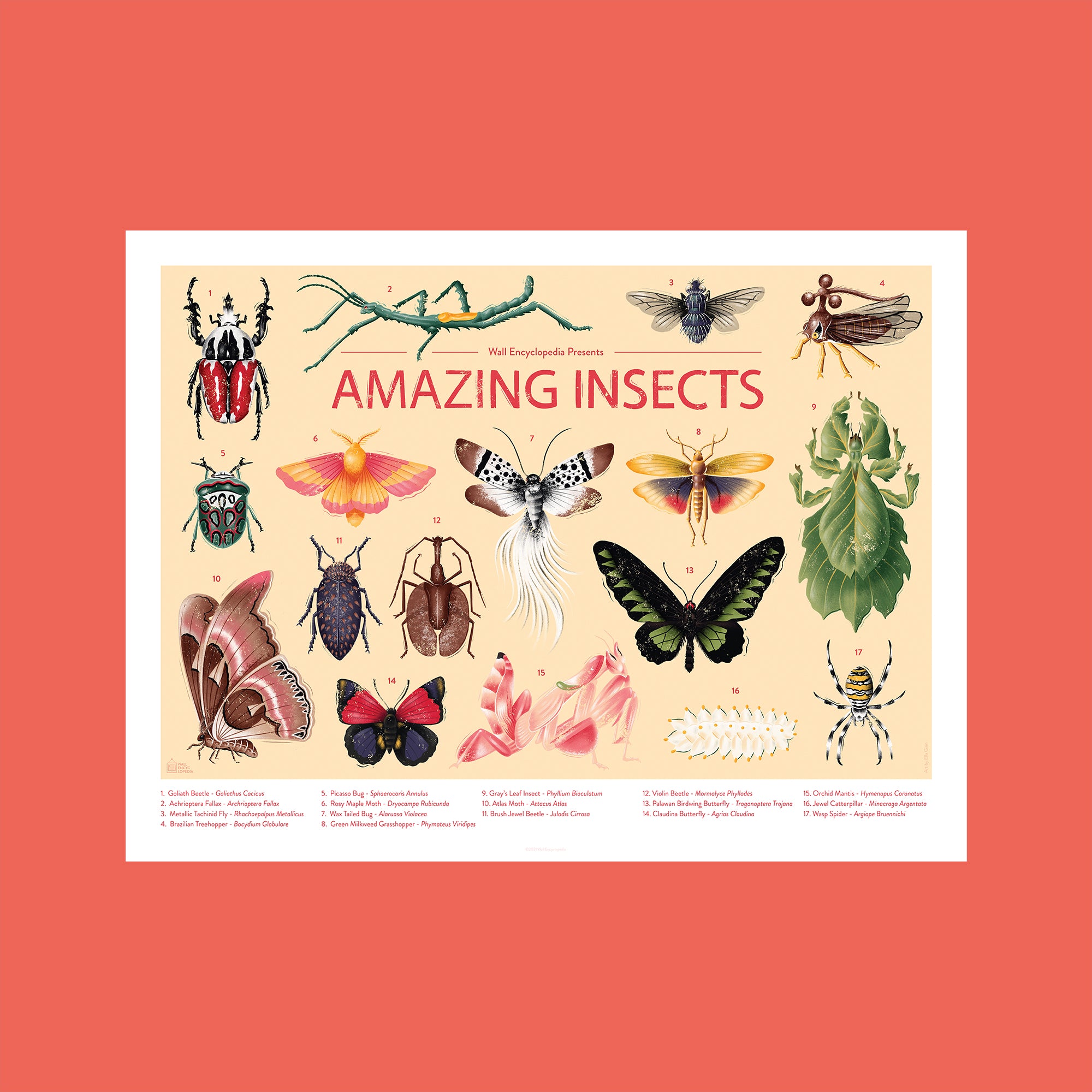 Amazing Insects Poster 1