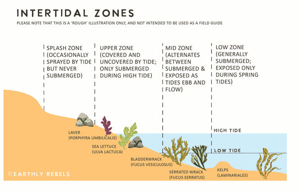 Intertidal Zones (for illustration purposes only)