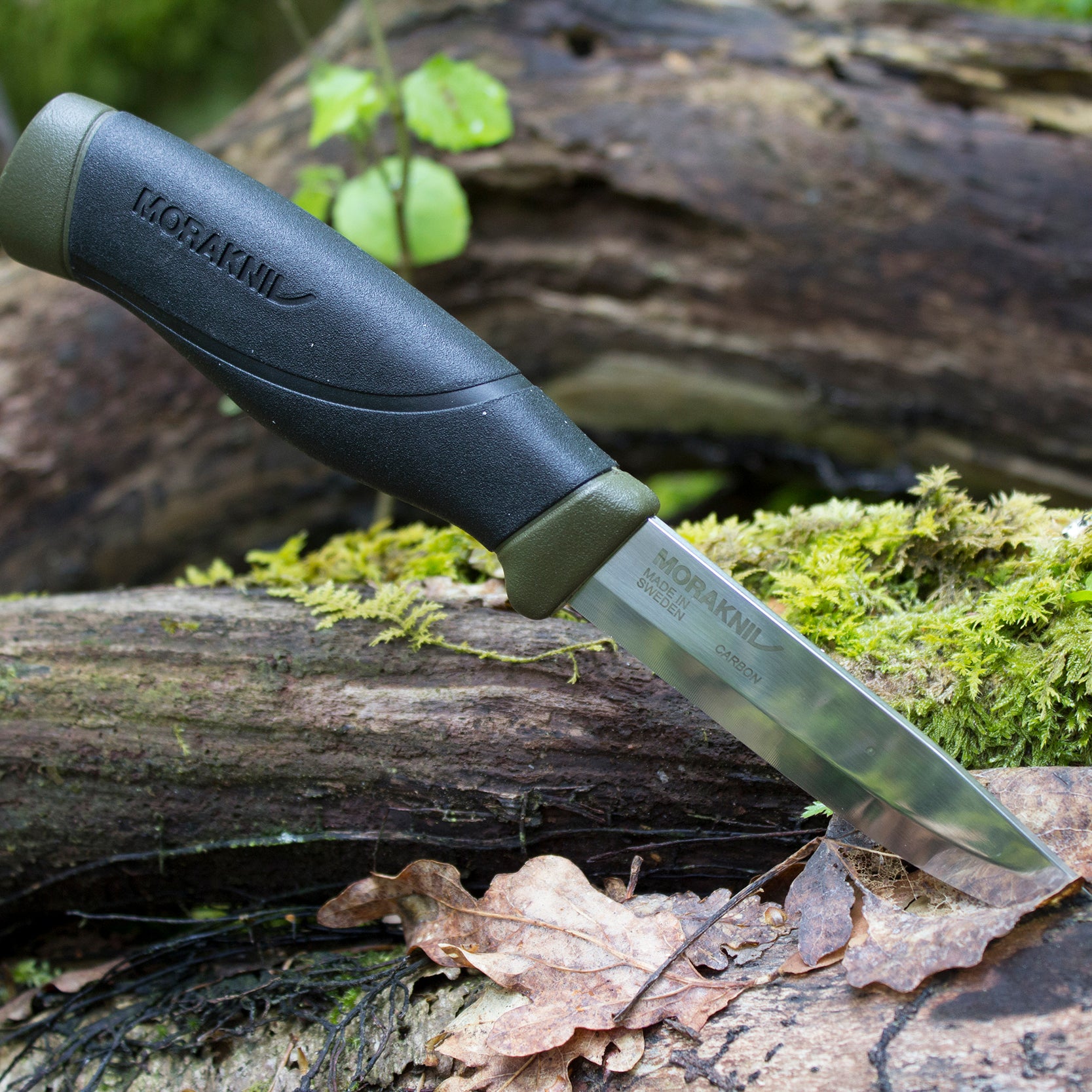 Morakniv Companion Heavy Duty モーラナイフ コンパニオン ヘビーデューティー Upi Online Store