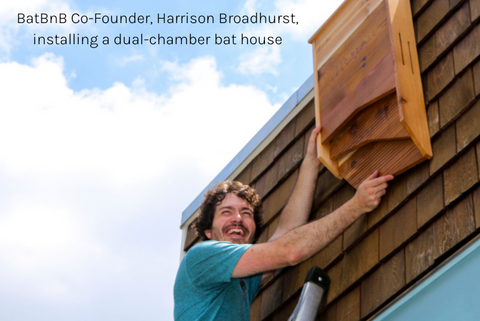 Installing a bat house on a barn