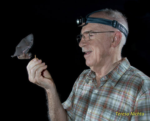 Merlin Tuttle holding up a meal worm for a bat that is flying over.