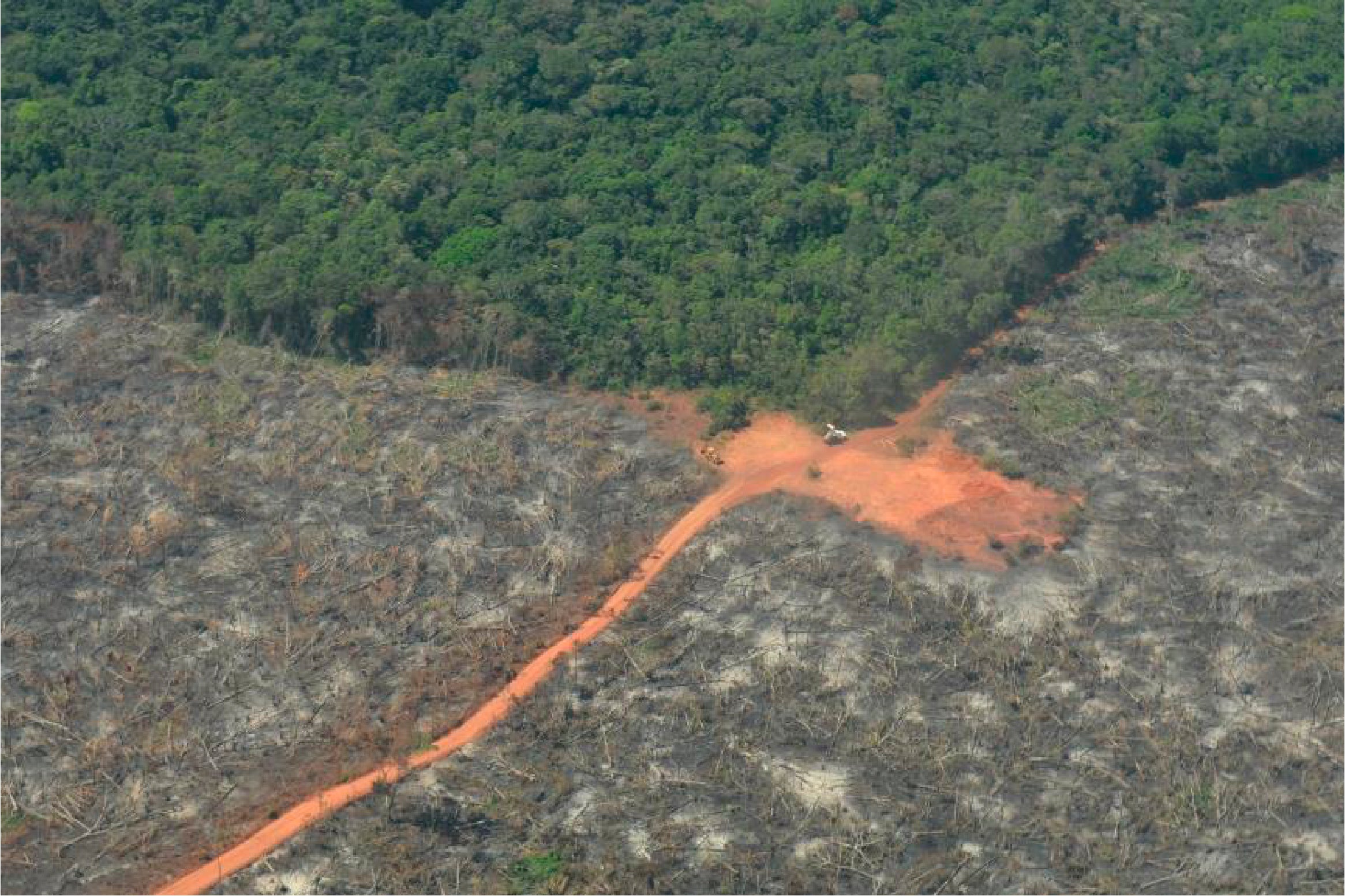 Colombian deforestation 2020