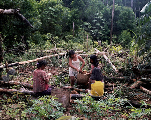 Comunidades indigenas y su realción con su habitad 