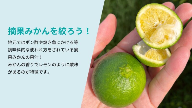 ワークショップで使う柑橘の手配