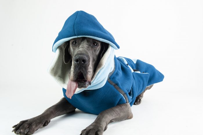Pawtton Hype LV Dog Rain Hooded Jacket