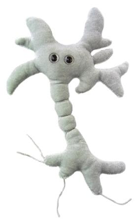 neuron plush