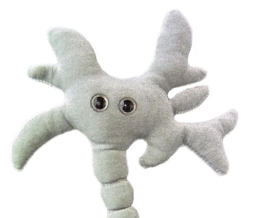 giant microbes graduation brain cell