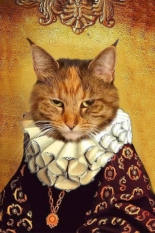 macska portré