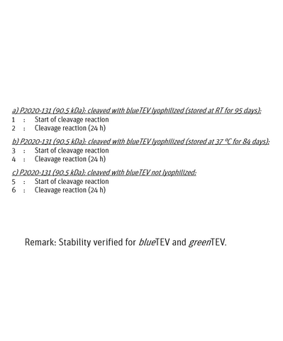 Description Stability study of lyophilized TEV