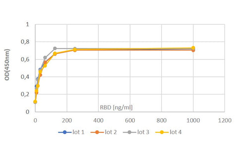 Activity of SARS-CoV-2 S1 (RBD)