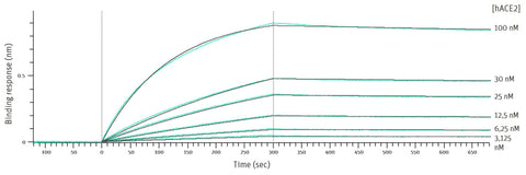 hACE2 Biolayer Interferometry graph diagram