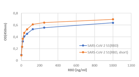SARS-CoV-2 (COVID-19) Spike S1 Protein (RBD, short version) Activity