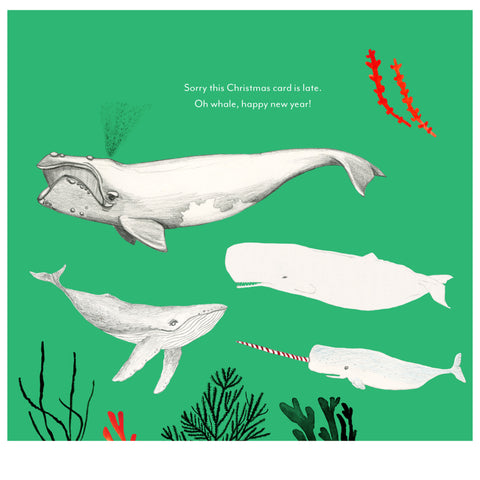 Four Whales drawn by the Zadeh Graham Family
