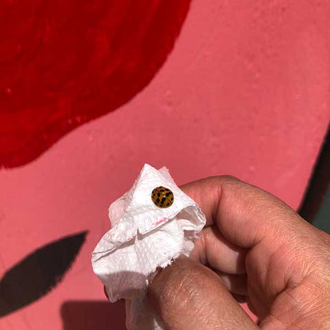A ladybug pops up for good luck as Misha Zadeh paints a mural supporting Black Lives Matter