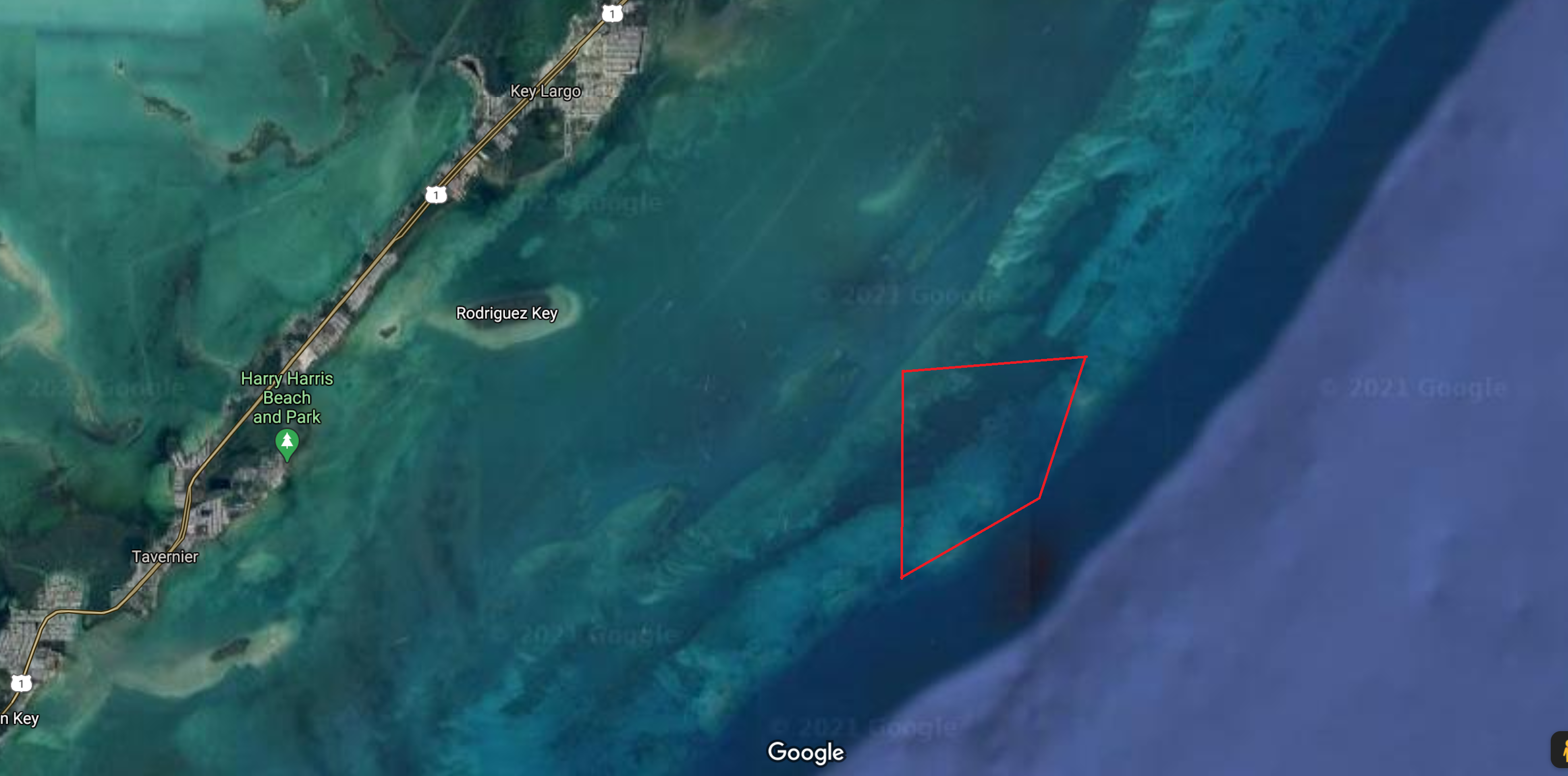 outline of a patch reef in the florida keys 