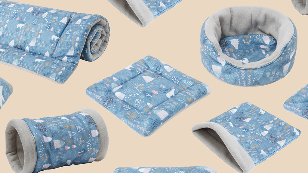 Collection d'accessoires polaires pour cochons d'Inde au motif hivernal ours polaire bleu