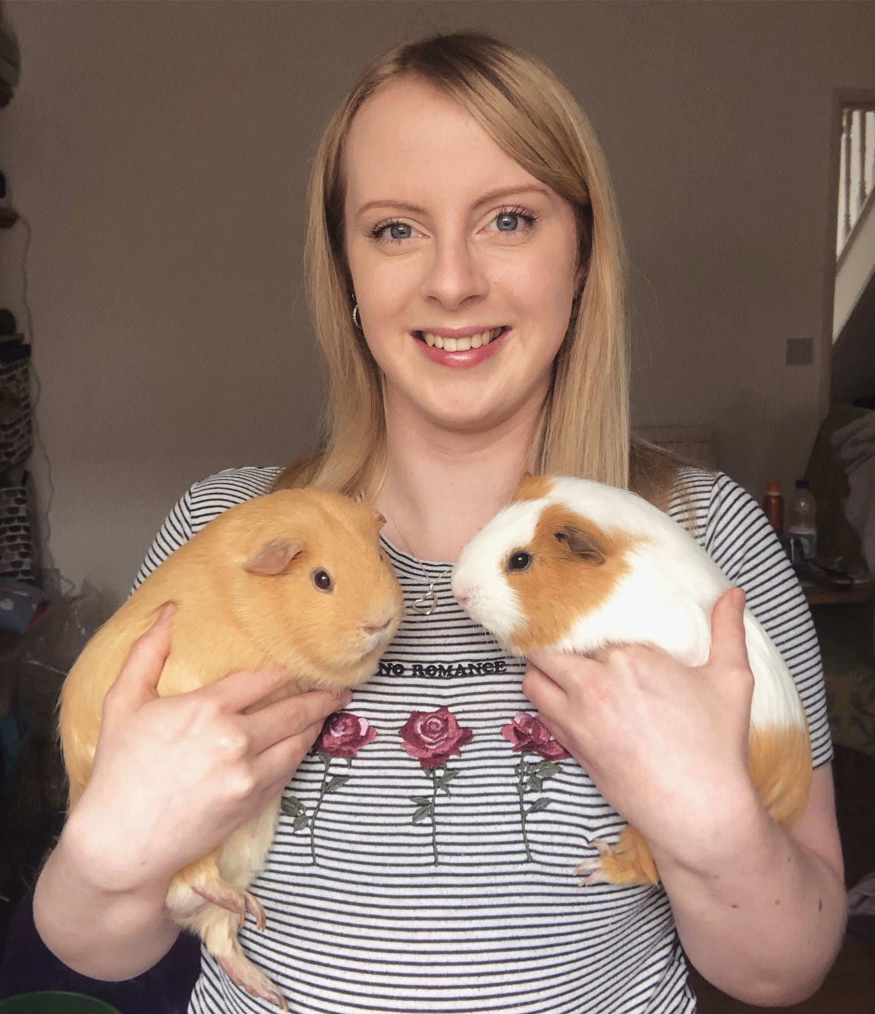 A kavee employee holding two guinea pigs 