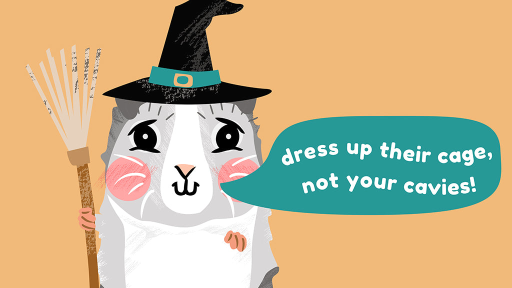 Can guinea pigs wear clothes? Ideally not - you can dress up their cage, though.