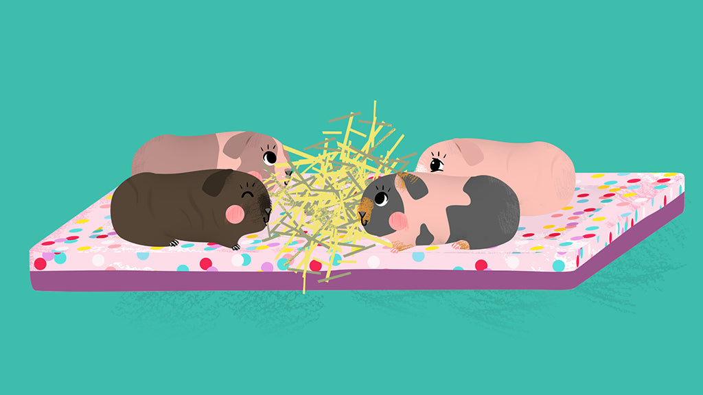 Illustrated guinea pig herd with four hairless guinea pigs eating hay on a fleece liner