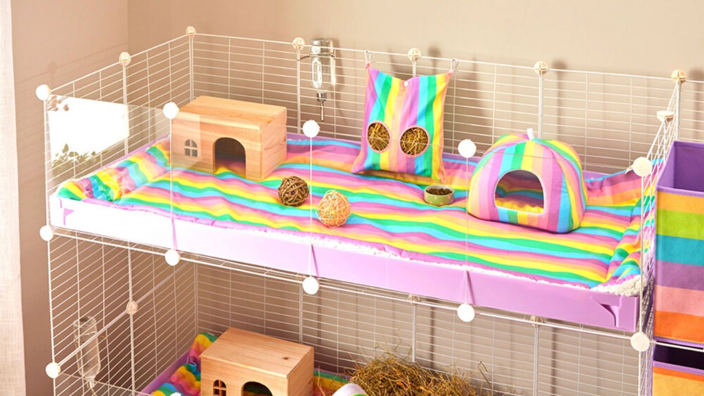 Kavee Launches Transparent C&C Panels for guinea pigs