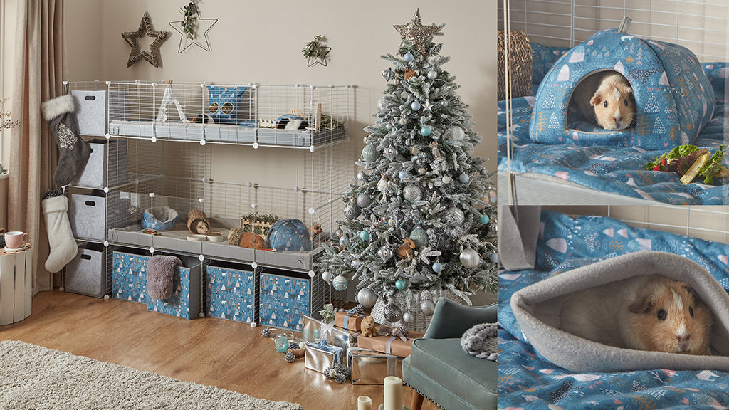 If you're looking for guinea pig Christmas ideas, the Winter Wonderland collection is perfect! Pictured is a collage of guinea pigs in Winter Wonderland fleece accessories and a cage setup.