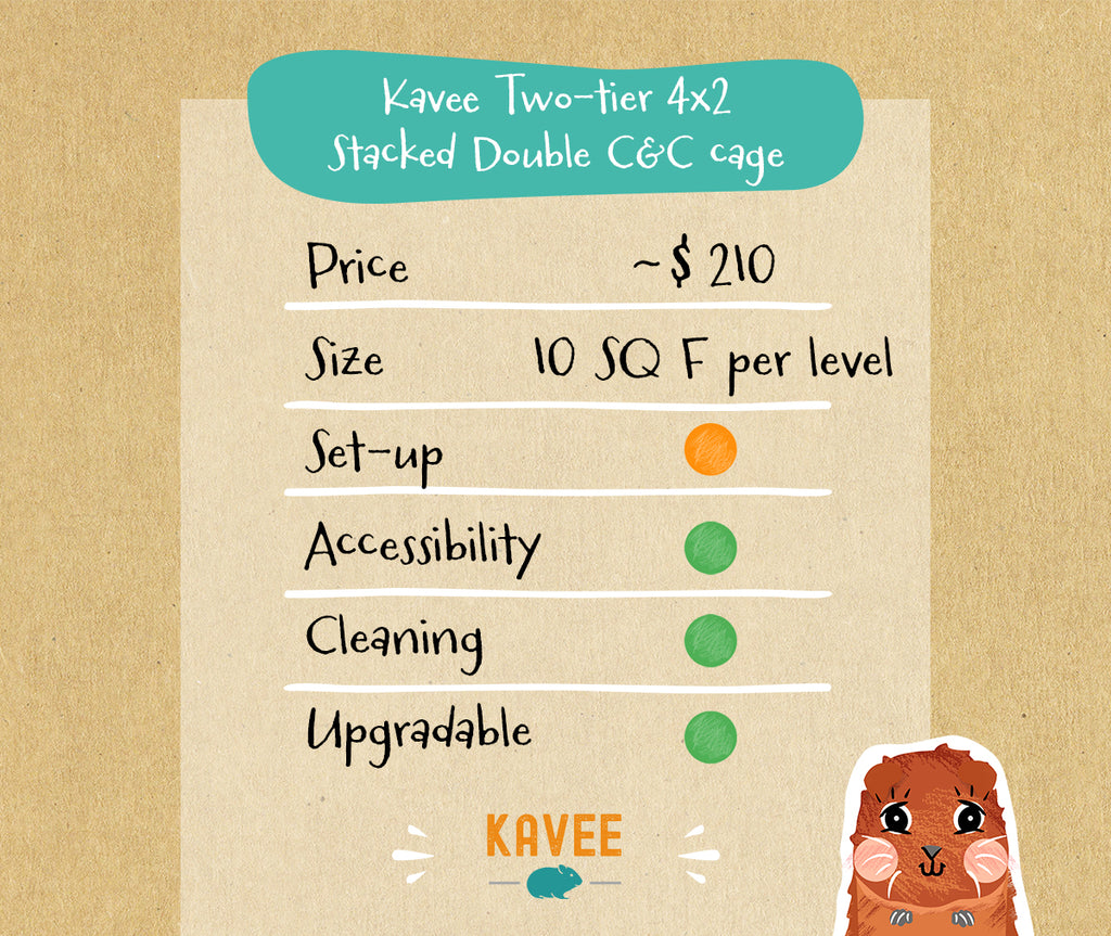 The Kavee two-tier cages are one of the big cages for guinea pigs.