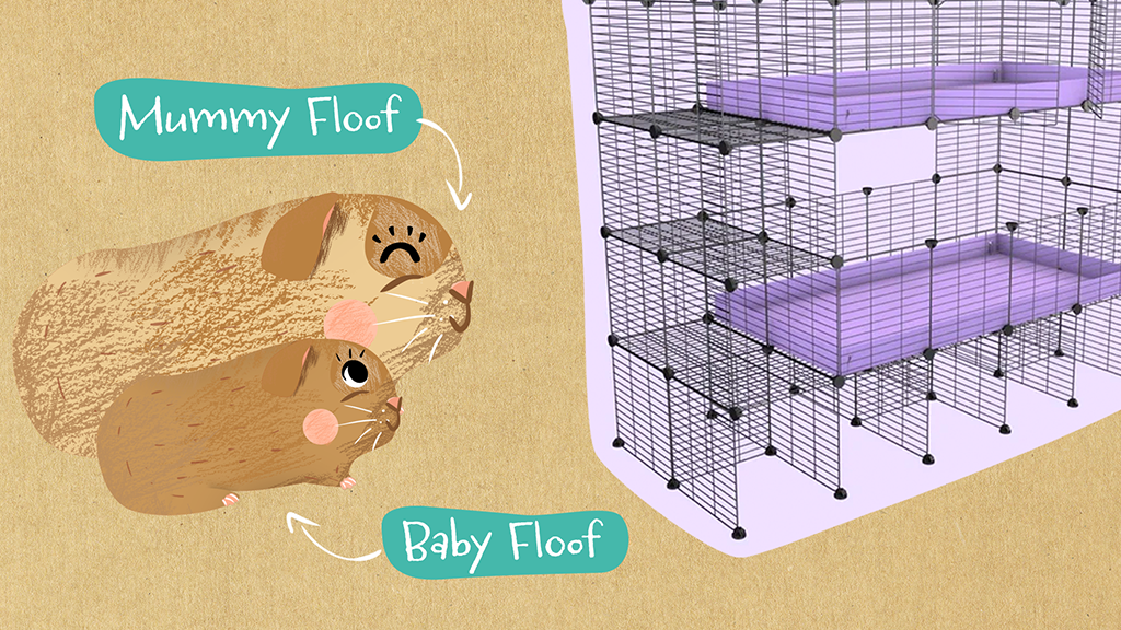This 2x4 c and c cage is perfect for pregnant guinea pigs.