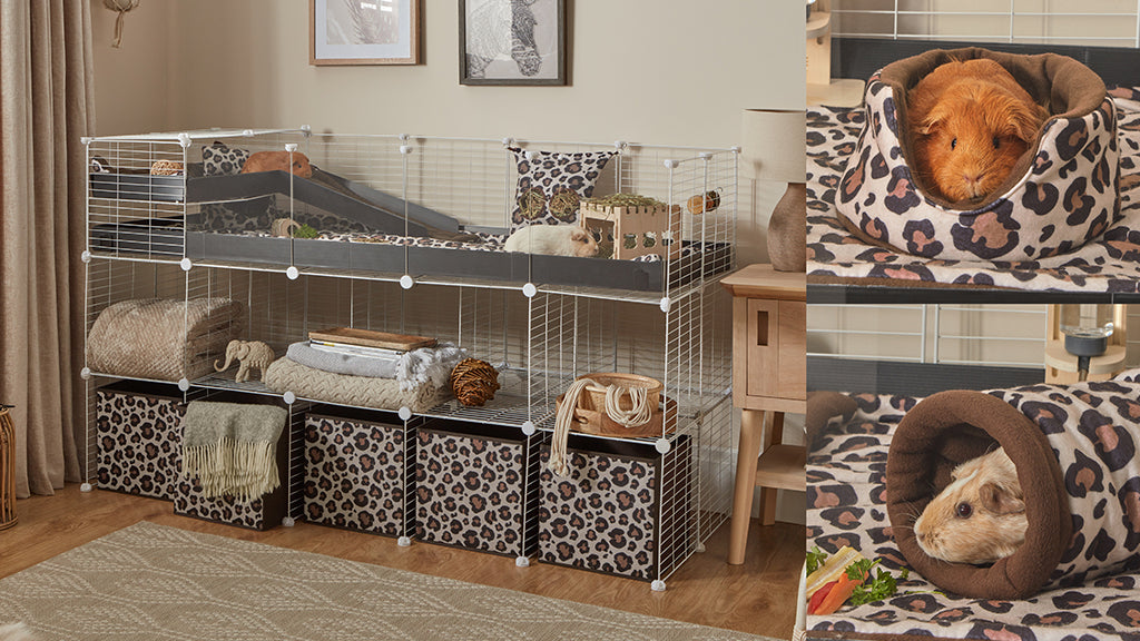 If you're celebrating Christmas with a guinea pig, do it in style with our Luscious Leopard collection! Pictured is a collage of guinea pigs in Luscious Leopard fleece accessories and a cage setup