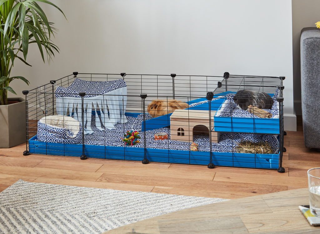 4x2 C&C Kavee Cage housing two guinea pigs