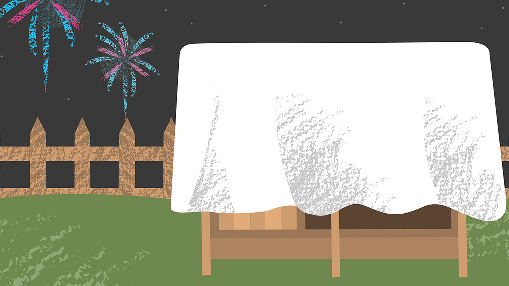 Are guinea pigs afraid of fireworks? Yes, and even outdoor fireworks need extra care.