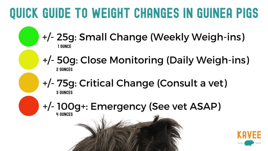 a guide to weight changes in guinea pigs 