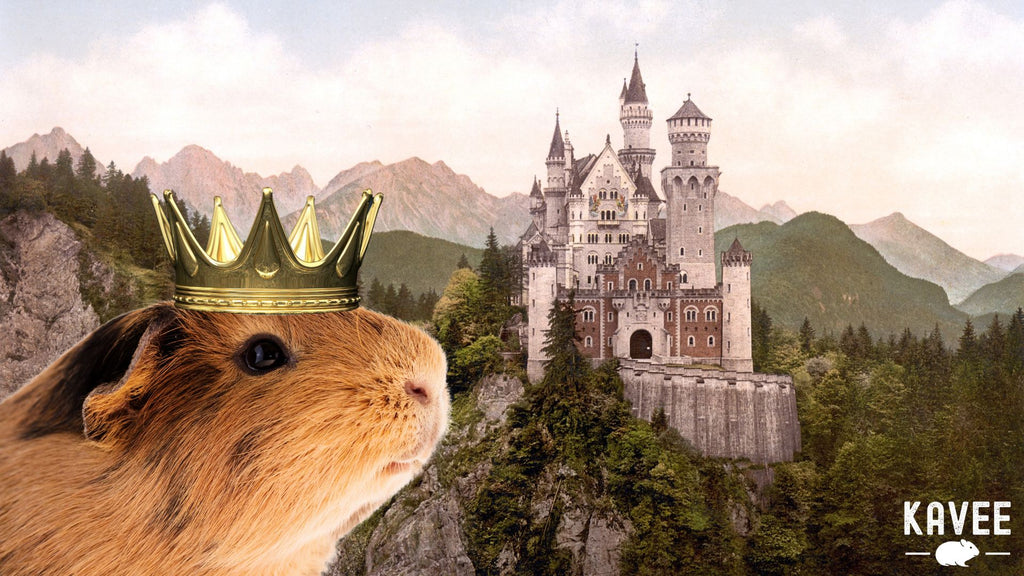 guinea pig wearing gold crown in front of enchanted castle medieval 
