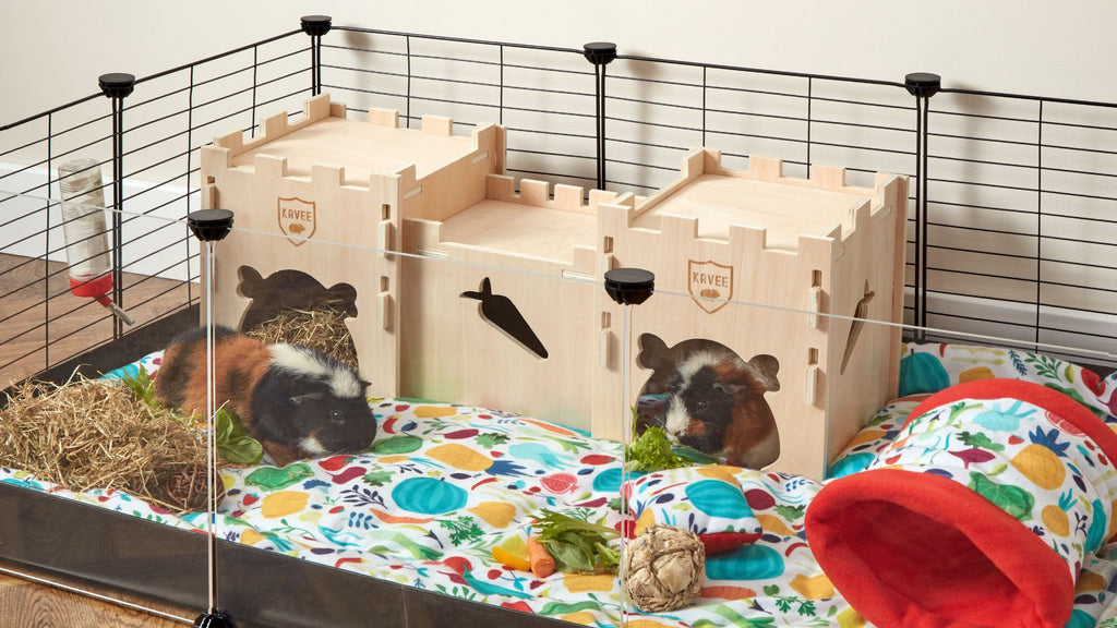 two guinea pigs playing in wooden castle themed fort in C&C cage with transparent panels